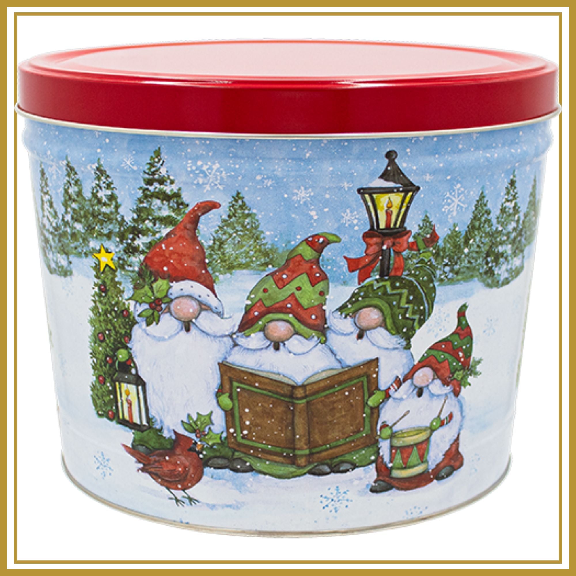 2 Gallon Festive Gnome - Free Shipping Father&