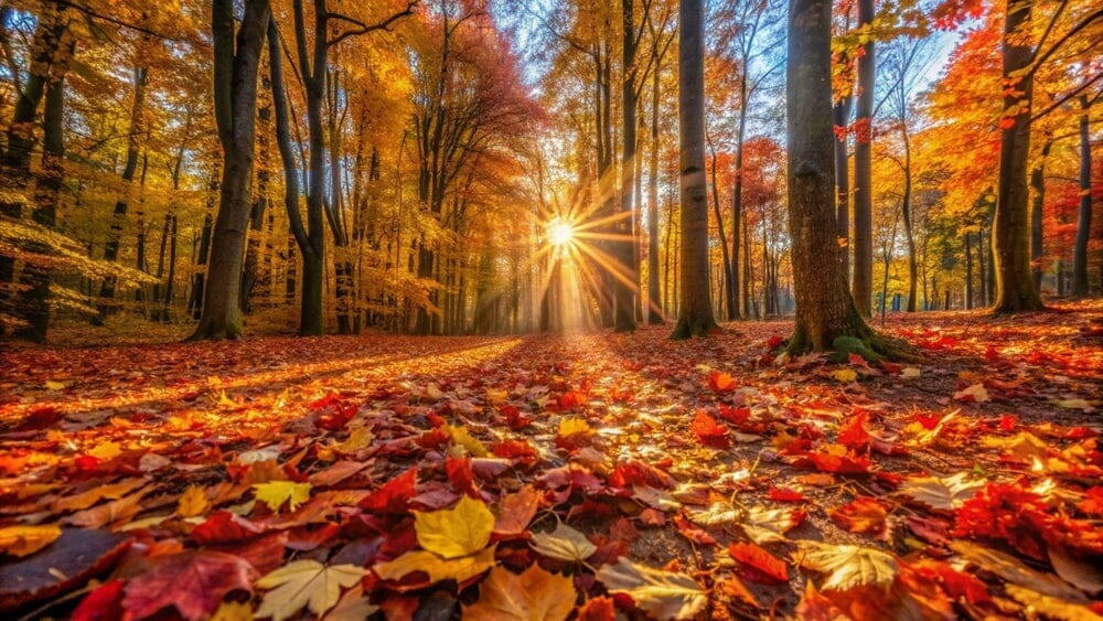 Celebrating Fall: A Season of Warmth, Colors, and Popcorn